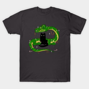 Funny cat and green dragon T-Shirt